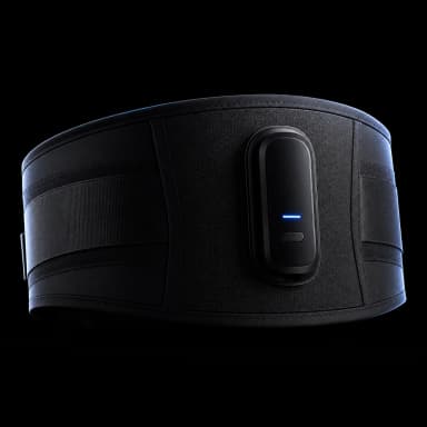 Back Recovery Pro